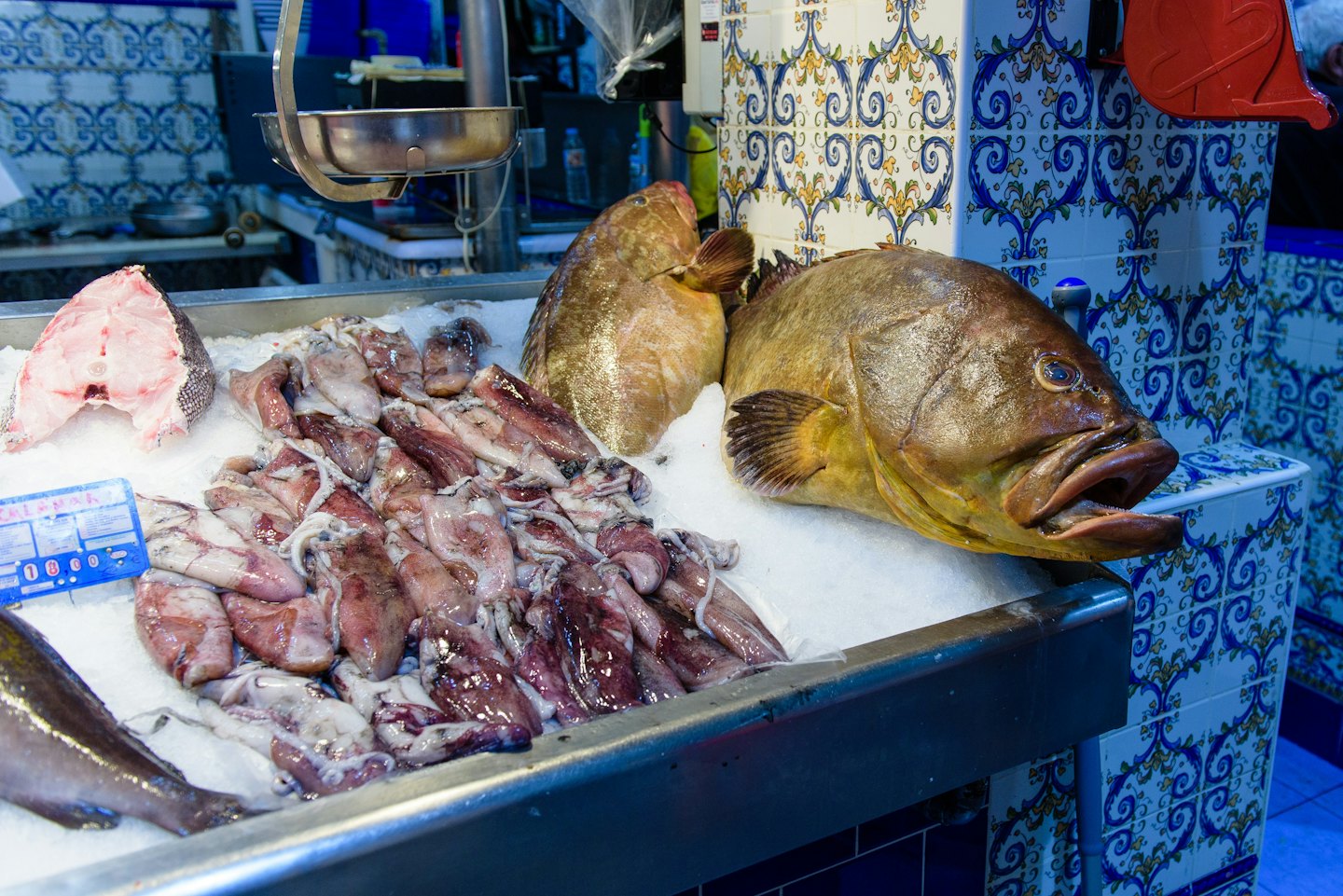 Fresh fish and squid displayed on ice at a market counter.