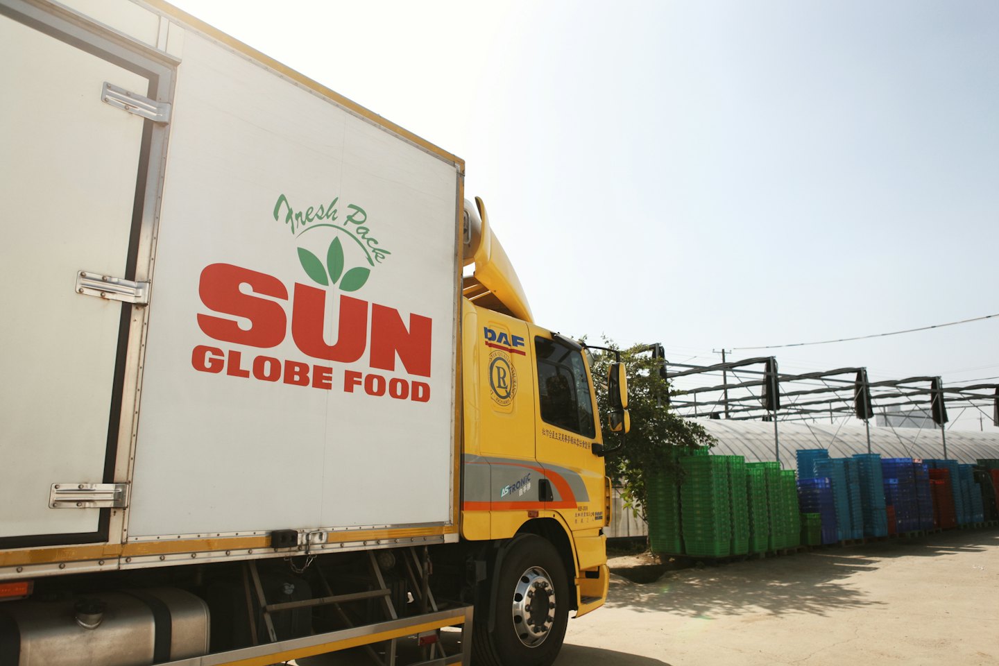 Fresh Pack SUN GLOBE FOOD truck parked outside a distribution facility.